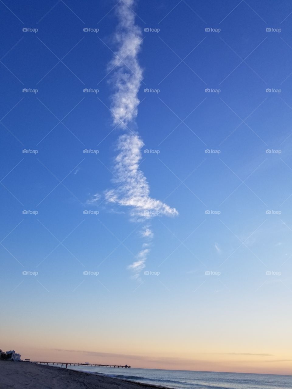 A bird made of clouds.