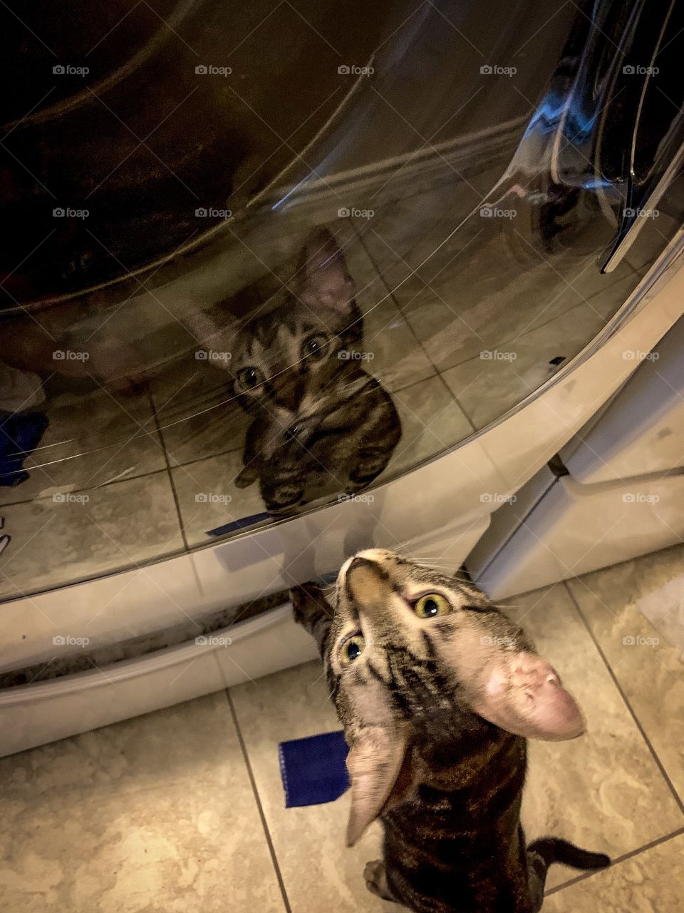 It’s hypnotizing me 