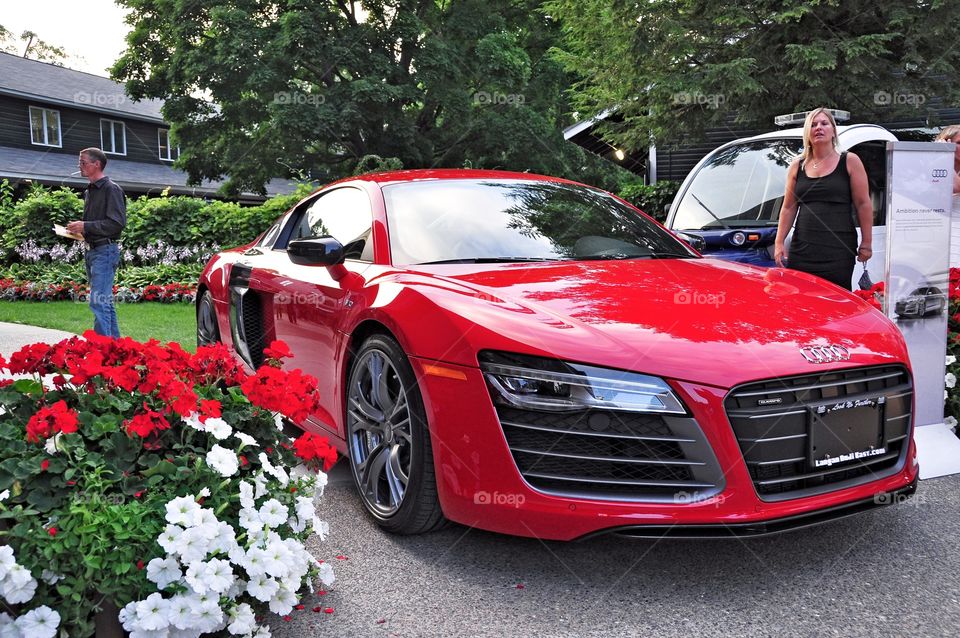 Audi R8. Red hot sports import coupe the Audi R8. 
zazzle.com/Fleetphoto