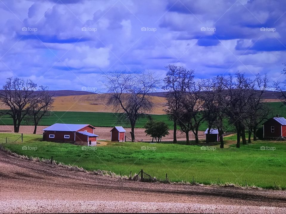 Small town in Washington 