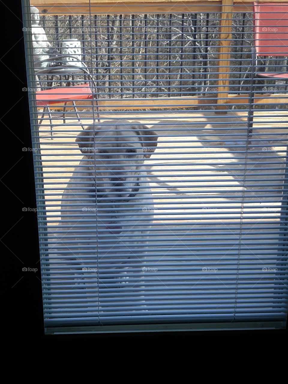 Locked out watching me work