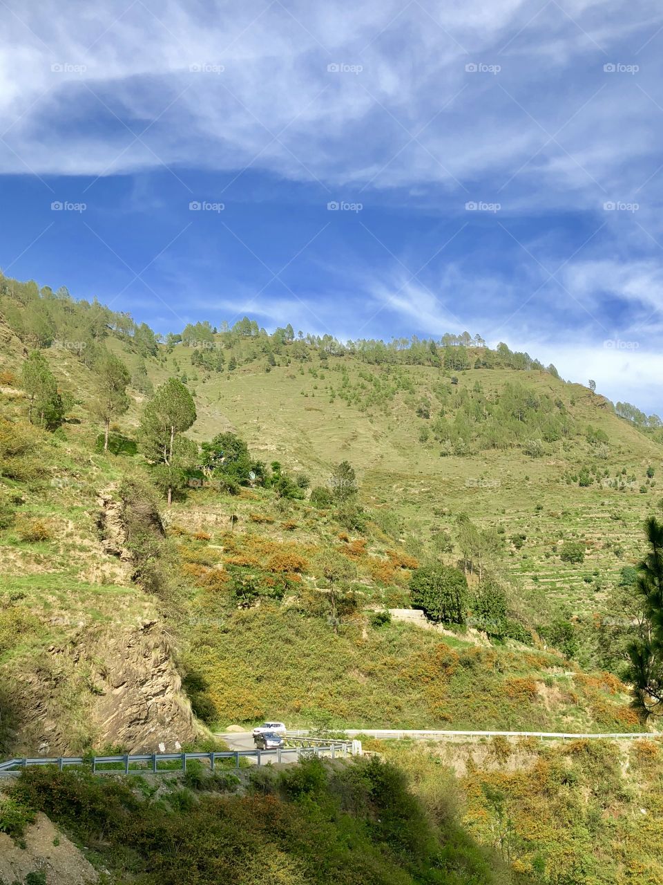 Natural Beauty : Mountain 