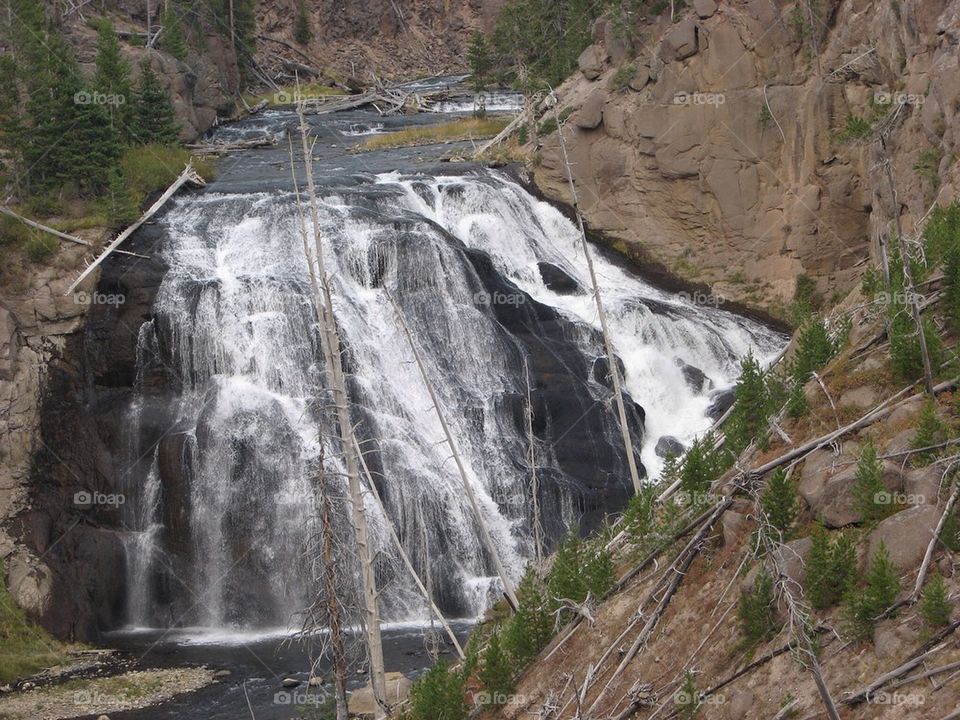 Colorado 