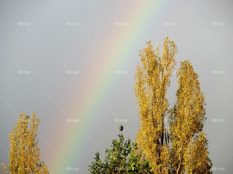 rainbow in the sky in October, a rare natural phenomenon