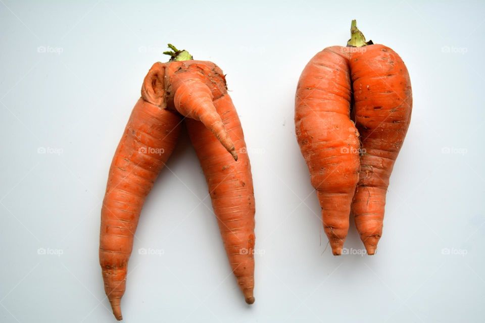 two funny carrots