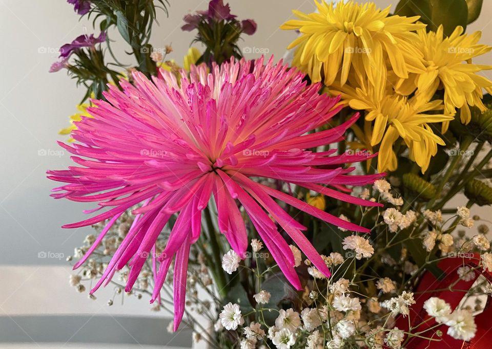 Closeup of happy flowers, which make me happy!