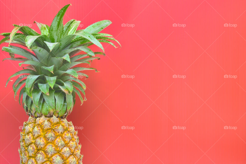 Isolated pineapple on salmon color background