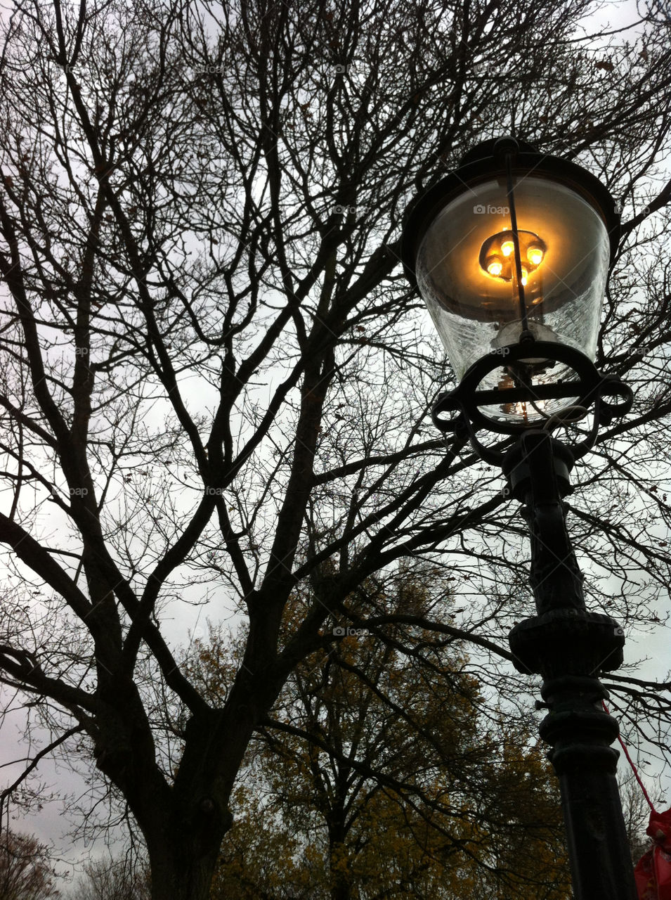 light tree by Kamisaraki