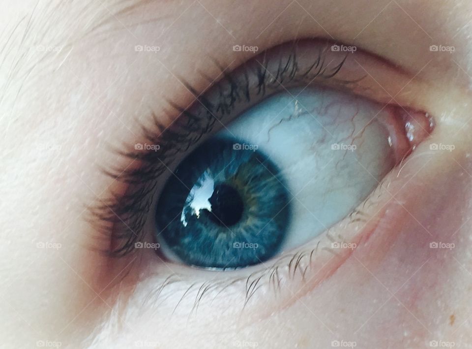 Blue eyes of ocean