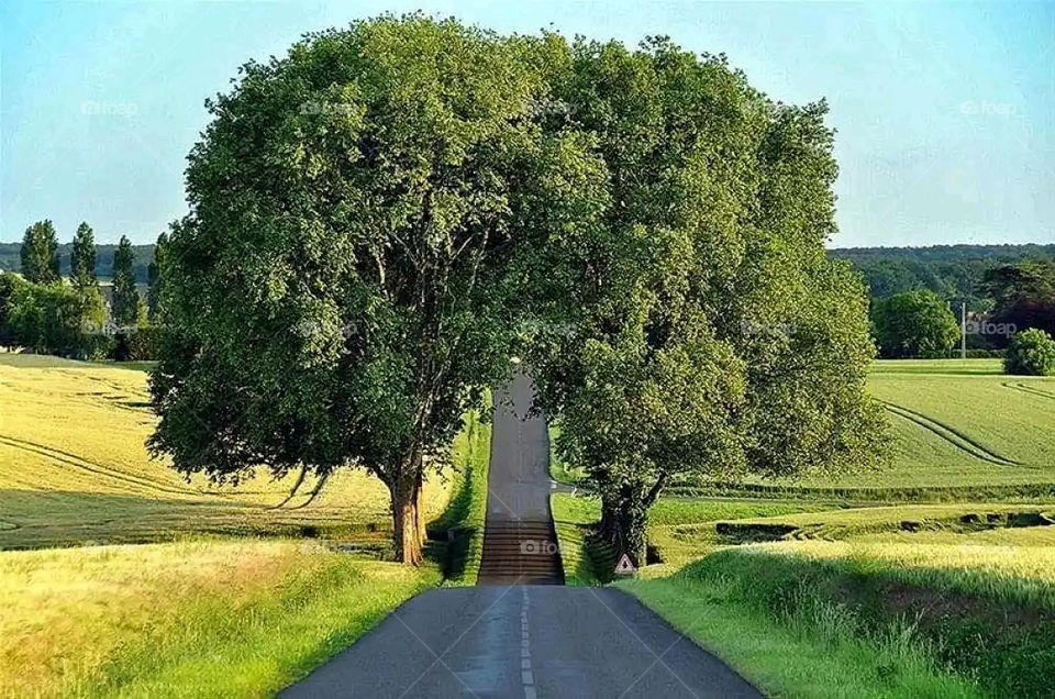 Glory be to God, the magnificent and picturesque view and the natural green trees are a view that is nothing more wonderful than it