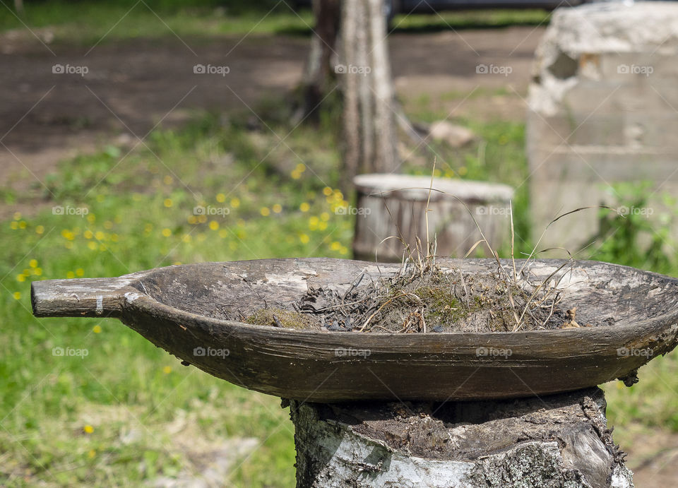 Ancient wooden dishes overgrown with grass lies on the old stump