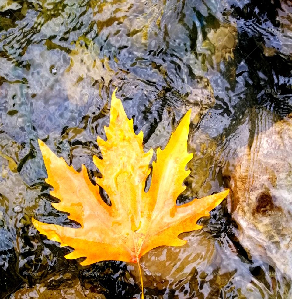 Hello
Please like my pictures and follow me
Thank you