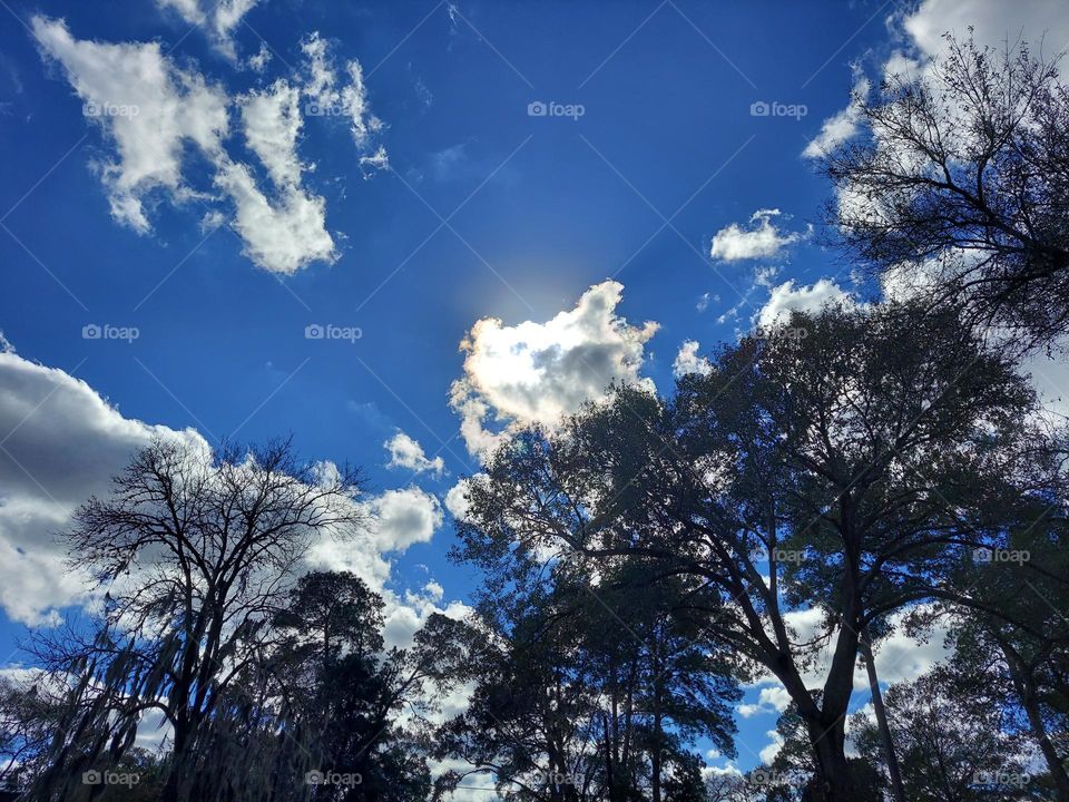 The 🌞 ☀️ Sun Breaking Through !