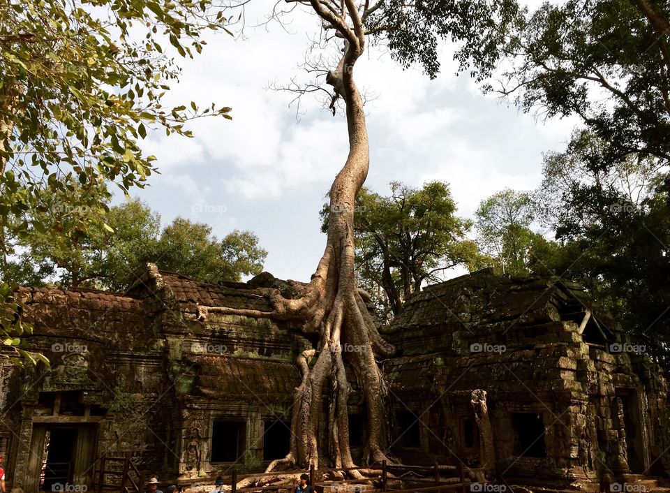 Angkor temple Cambodia 