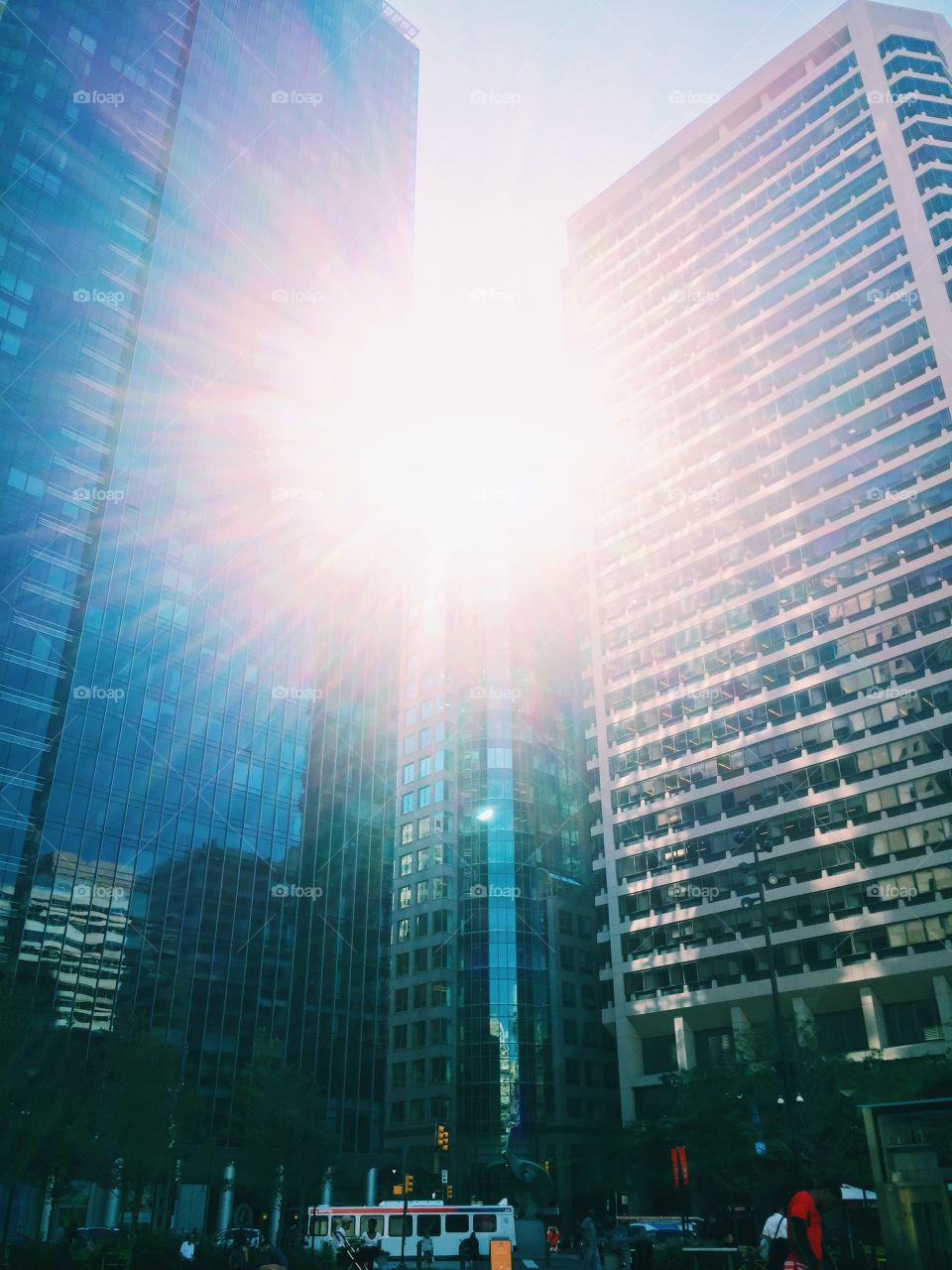 Low angle view modern office buildings