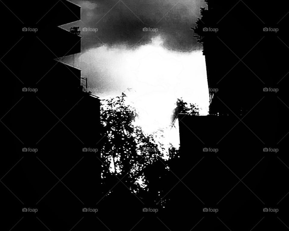 A magic world (Alessandro)