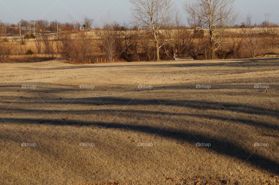 Field with shadows