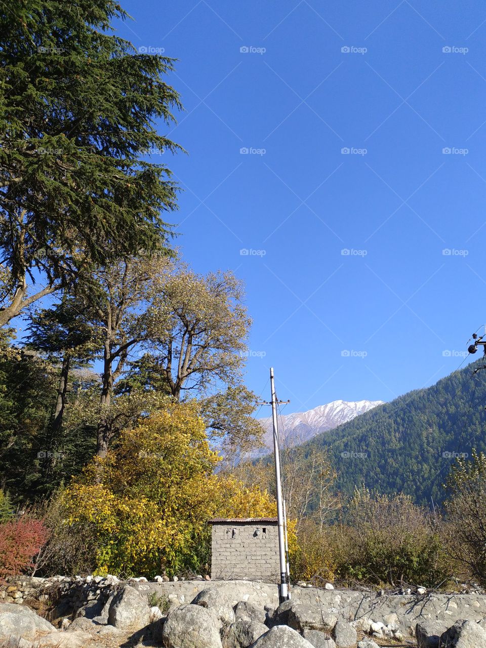 Wonderful view of natural beauty en route to Gangotri in the great Himalayas