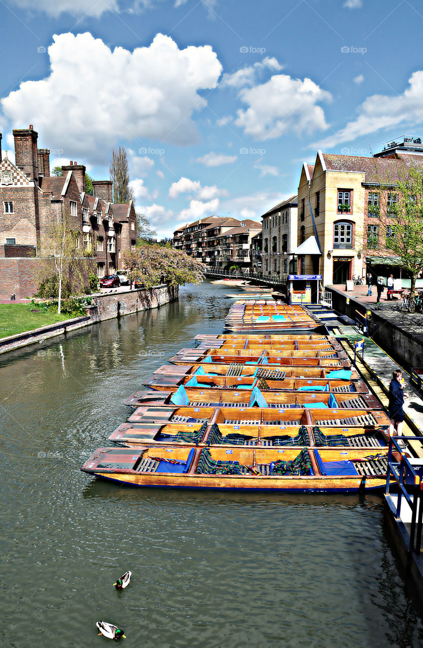 Cambridge punting