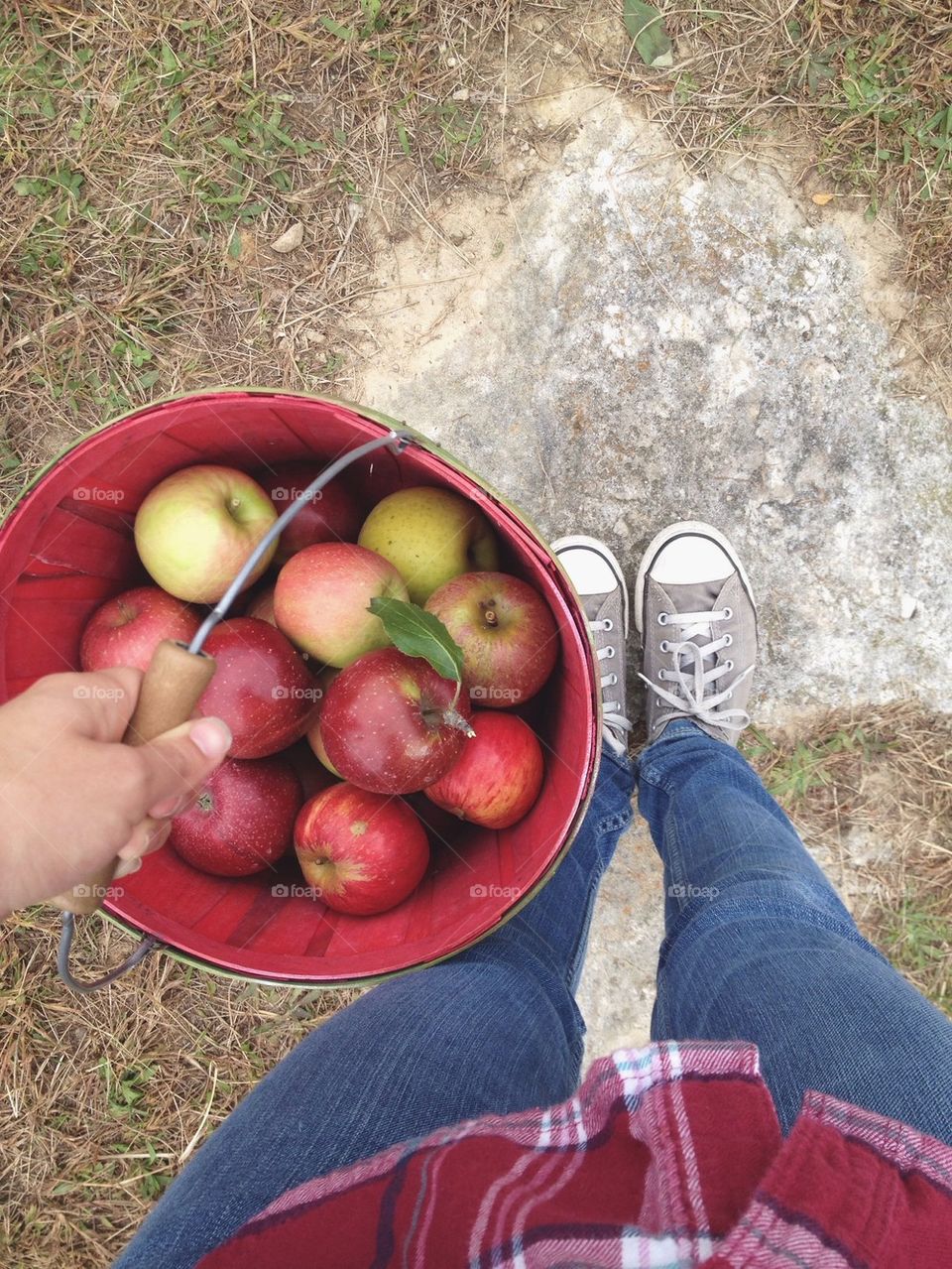 apple picking