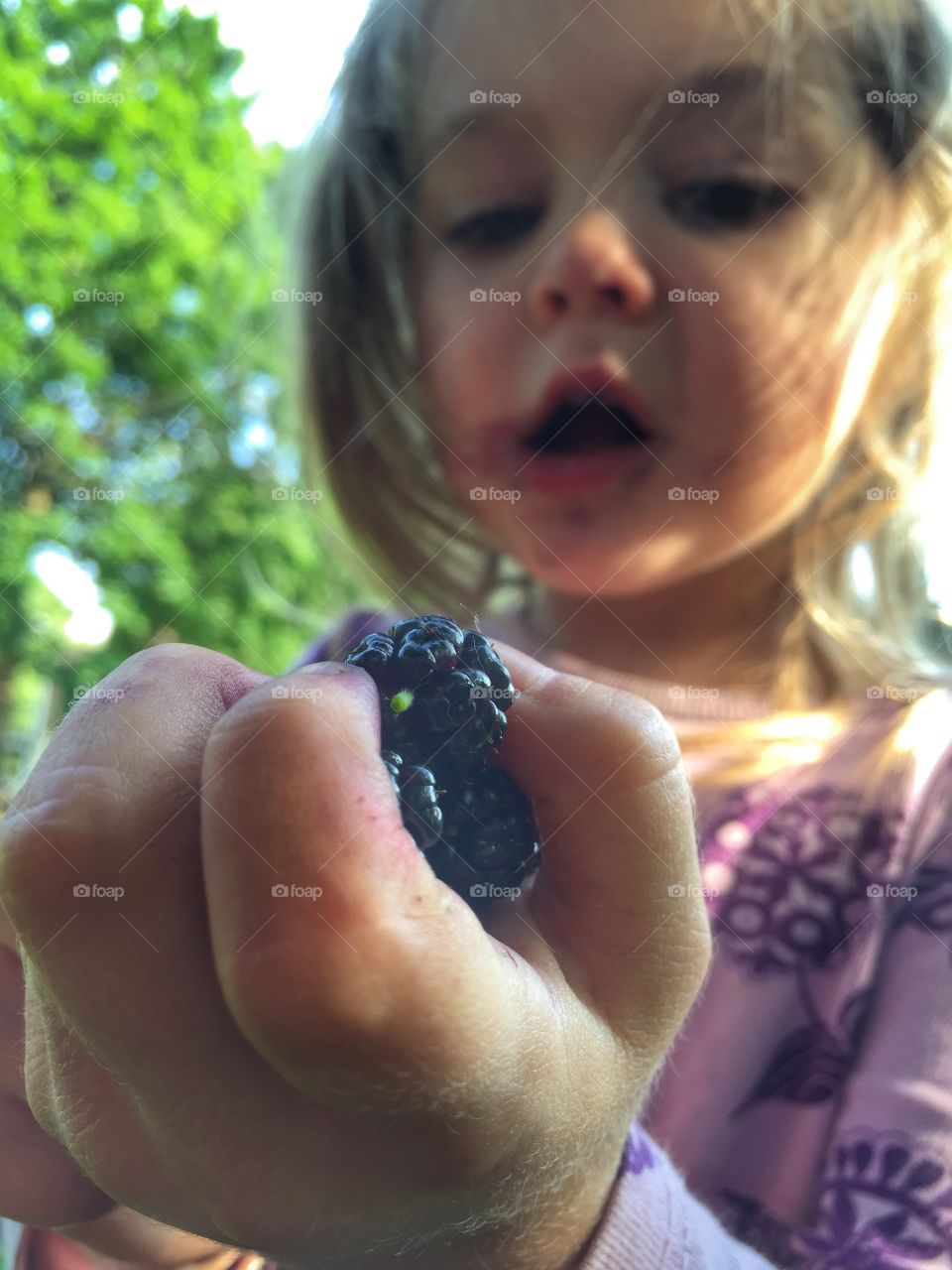 Small child holding blackberry in hand
