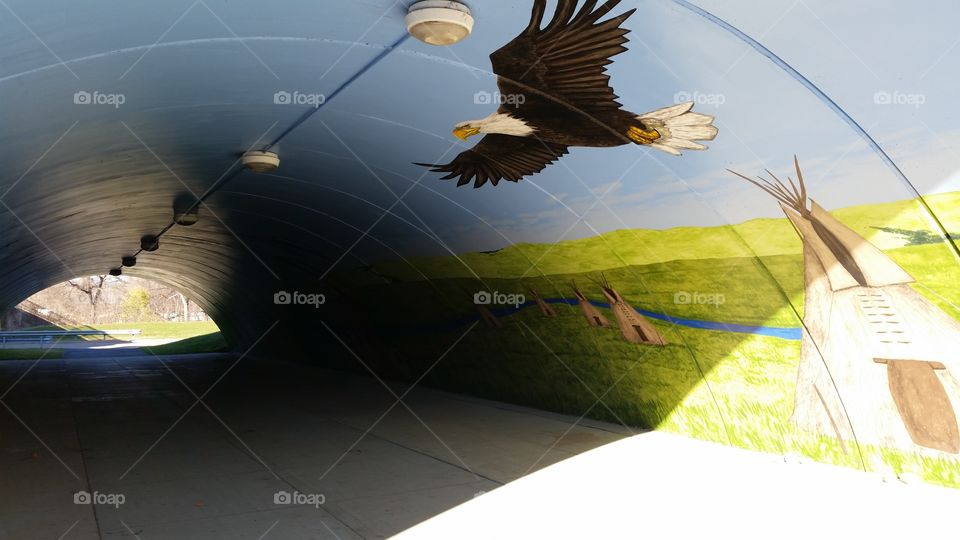 Eagle over teepees