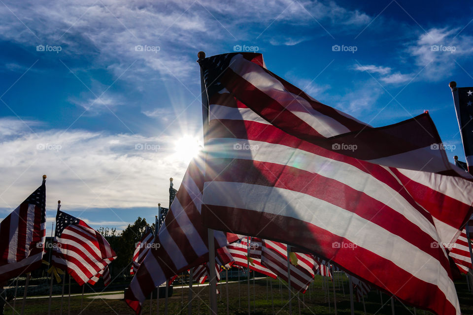 Field of Honor 5