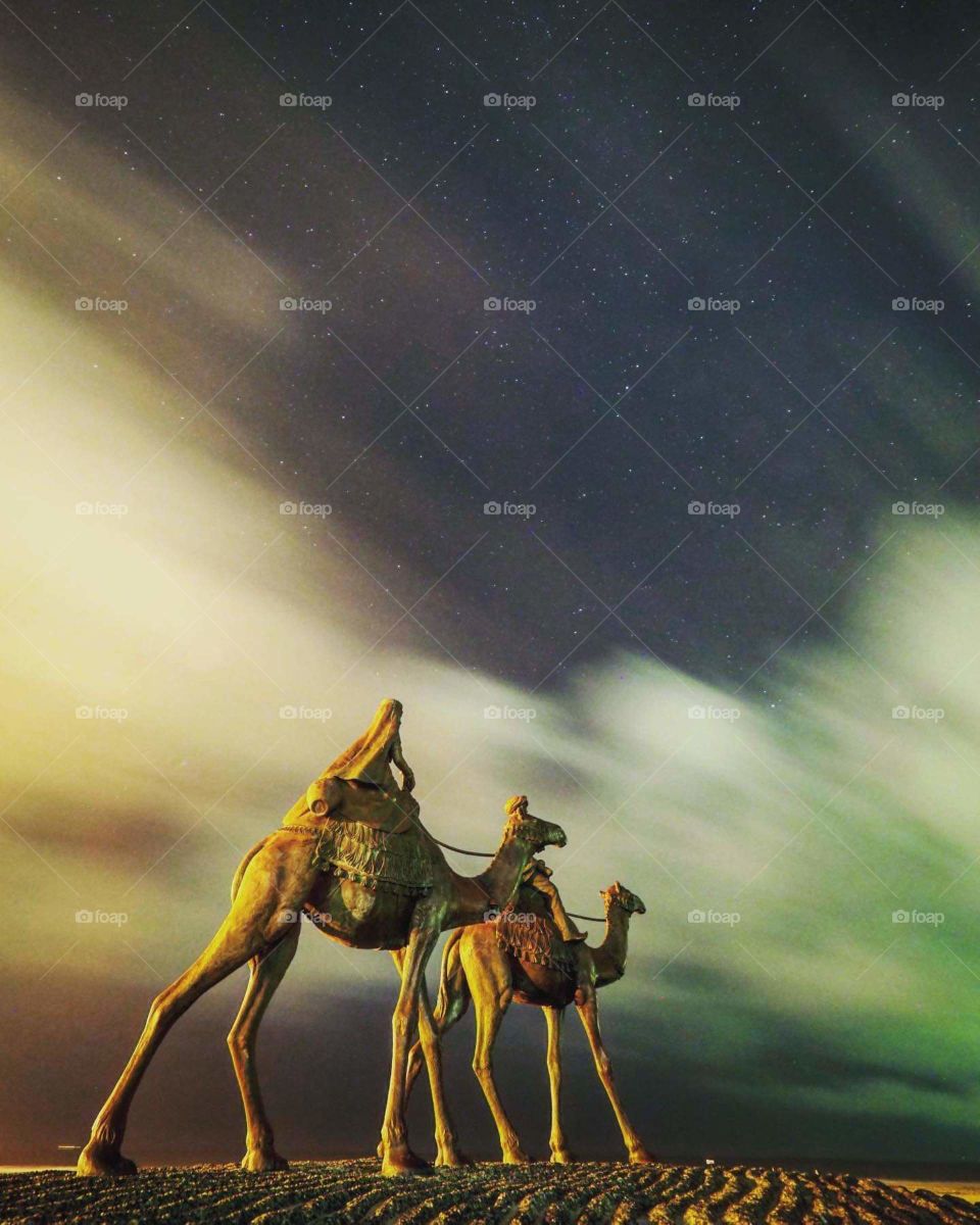 silhouettes and Shadow's