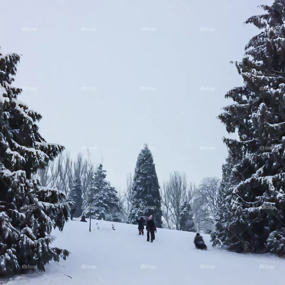 Snow