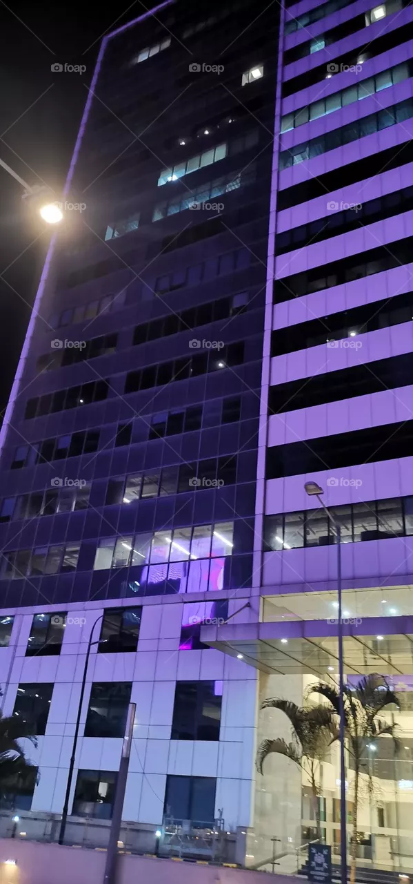 purple view