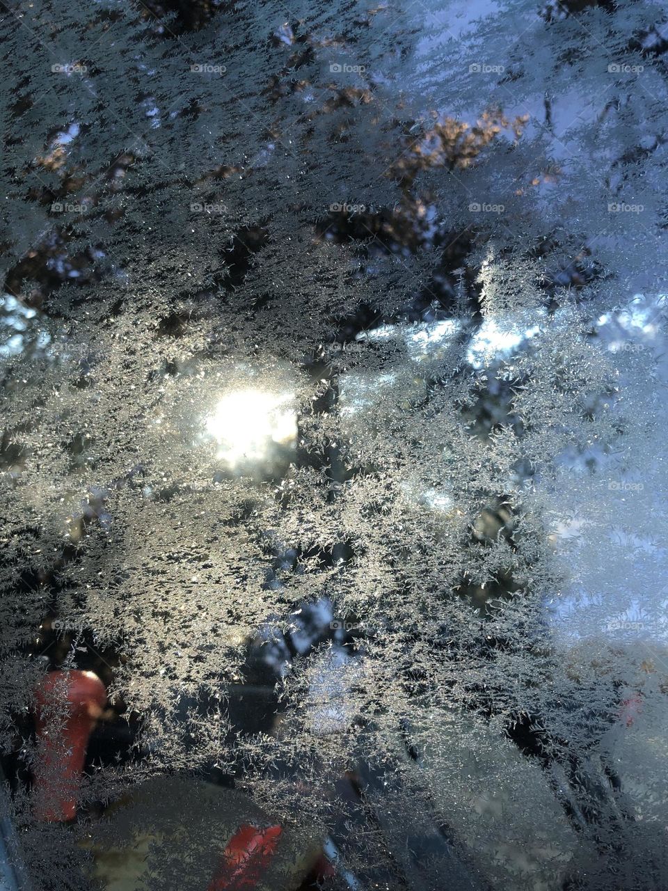 Frost on the window!!! Really cold here in Texas the last few days- a bit too cold actually 🥶