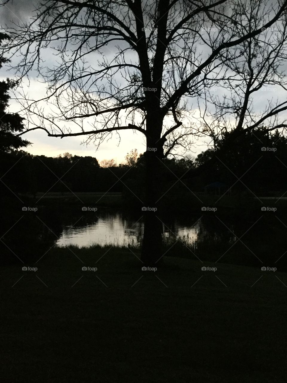 The pond before a thunderstorm 