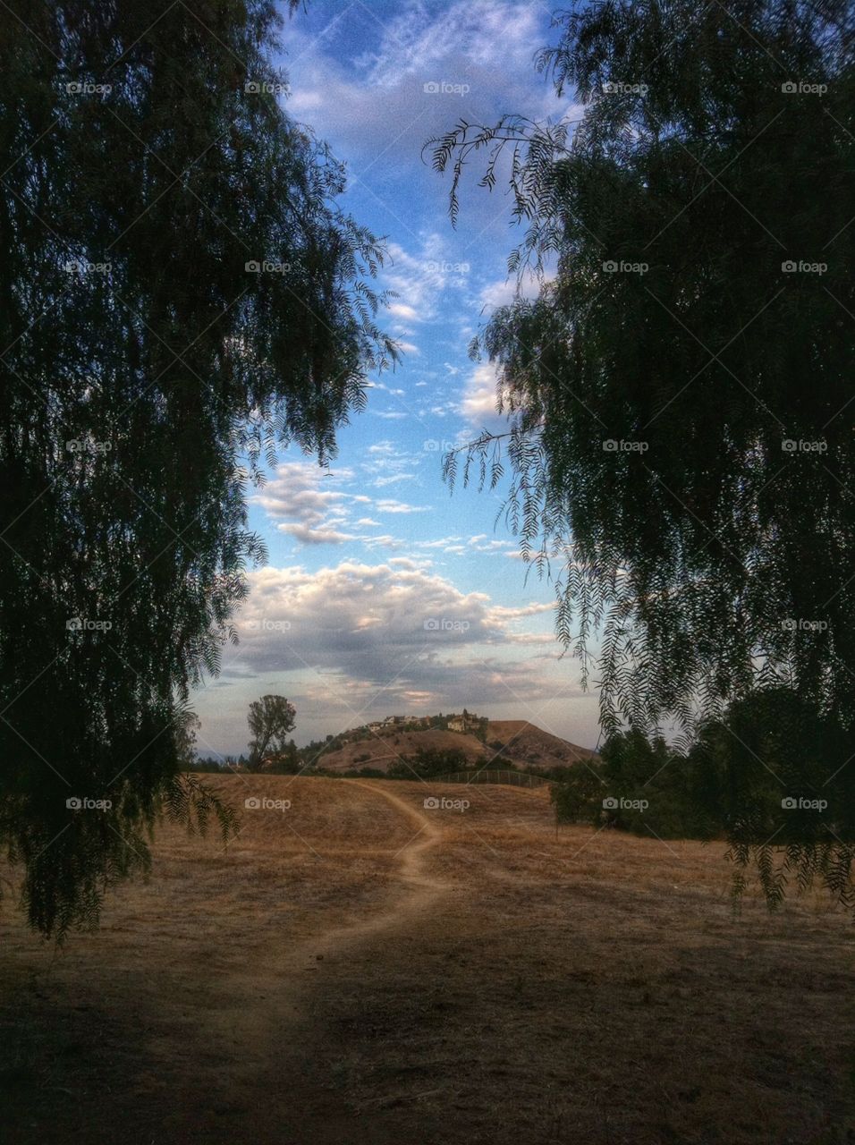 View of footpath on hill