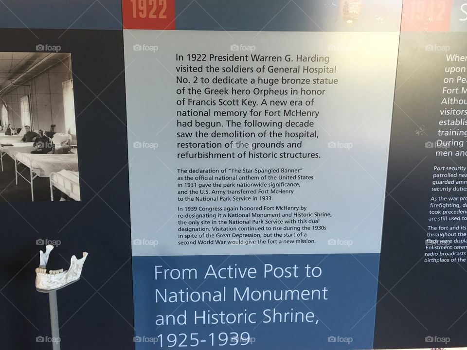 Template, Layout, Banner, Presentation, Booklet