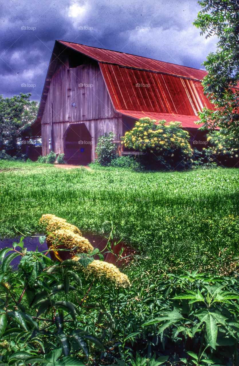 the barn