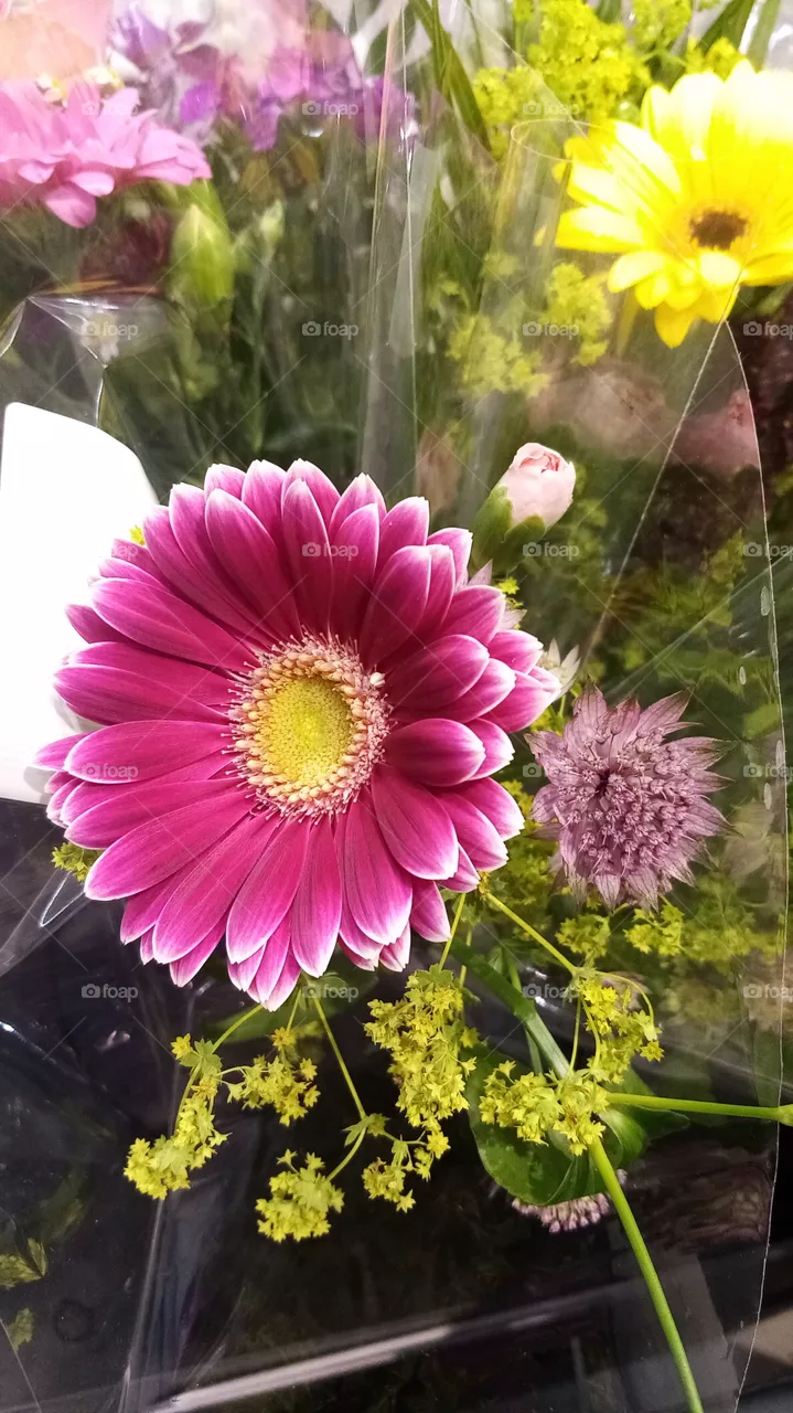 Blumen