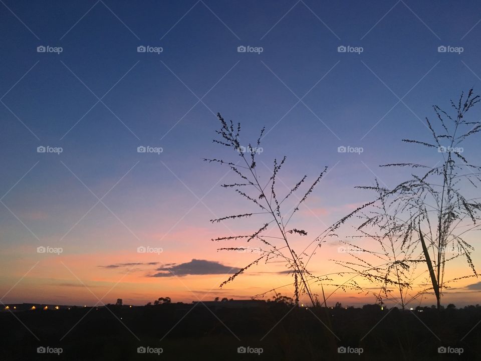 ✌🏻️Desperta, #Jundiaí!
Ótimo #Sábado a todos.
🌅
#sol
#sun
#sky
#céu
#nature
#manhã
#morning
#alvorada
#natureza
#horizonte
#fotografia
#paisagem
#amanhecer
#mobgraphia
#FotografeiEmJundiaí
#brazil_mobile