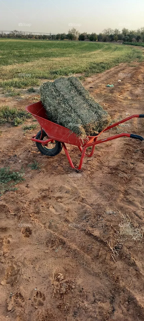 Small fodder cart
