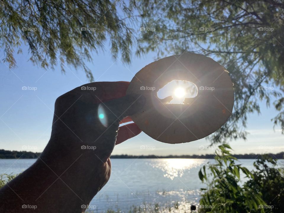 Mushroom shape in bagel