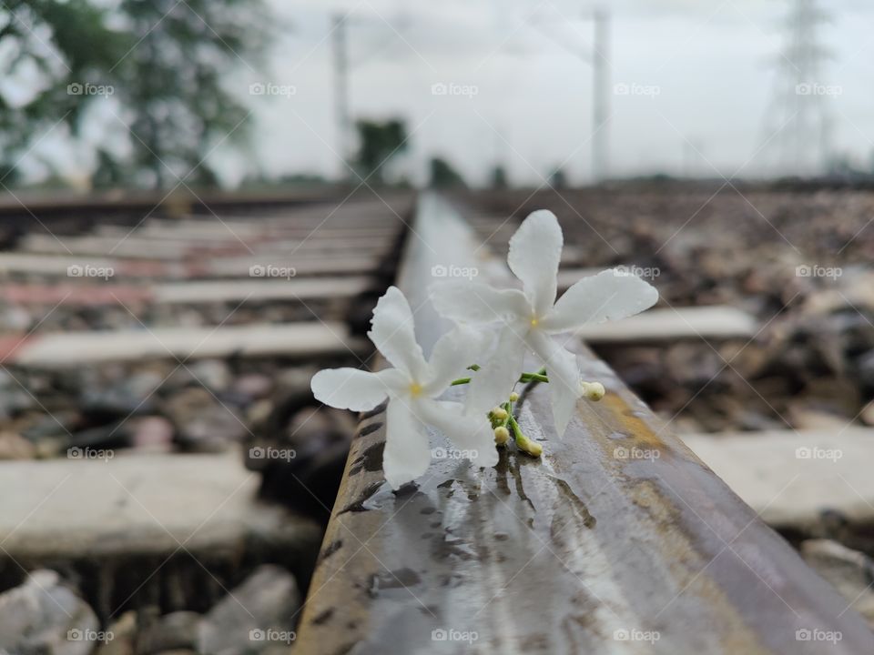 White .... And Rainy