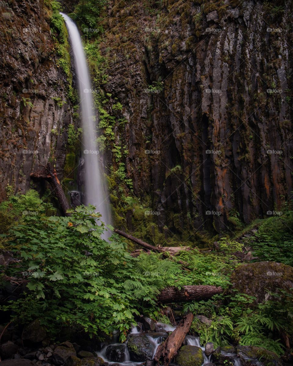 Small waterfall in forest