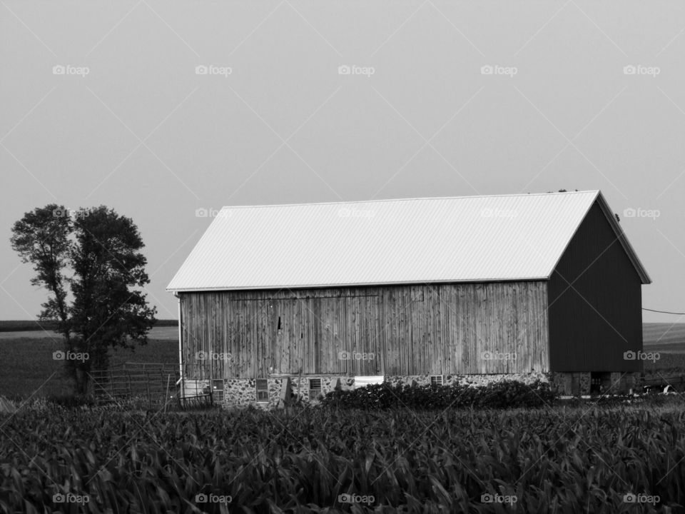 barn