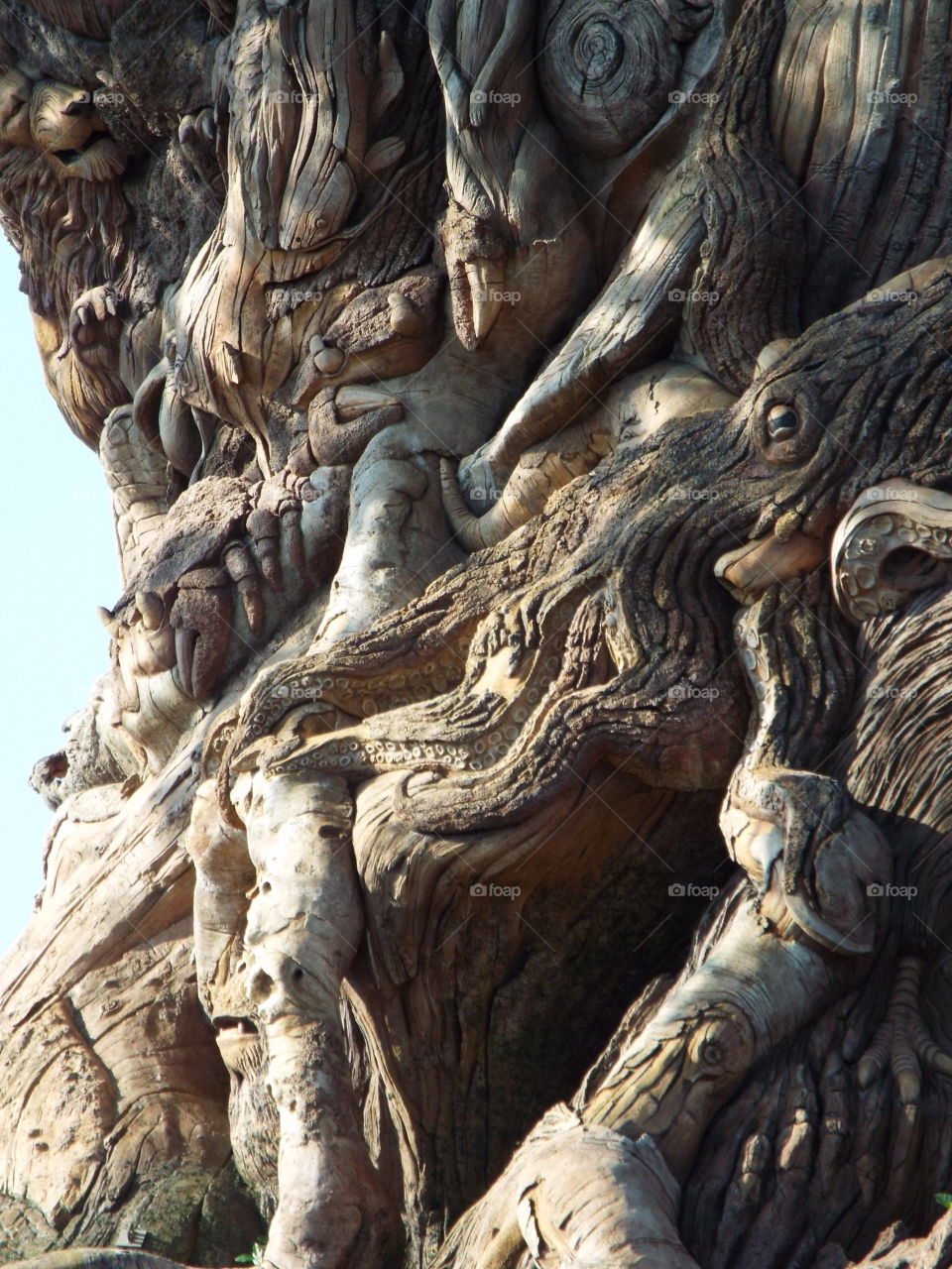 carved tree