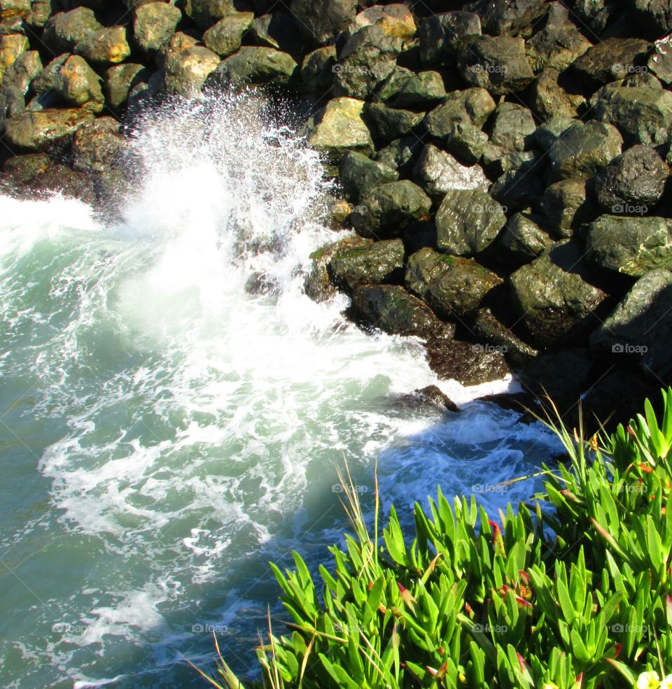 Santa Cruz, water in motion