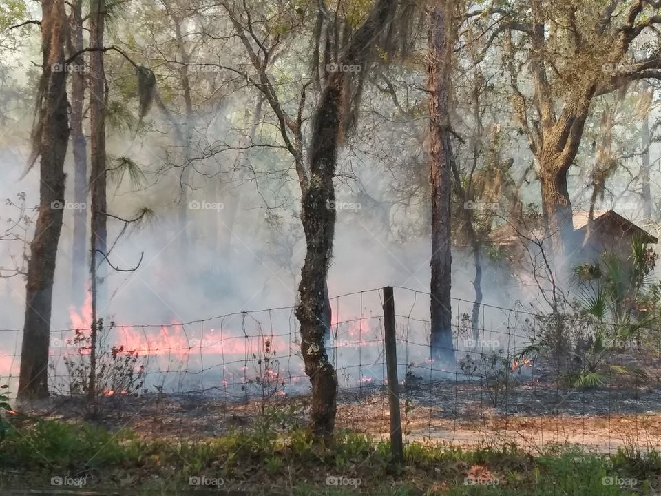 Prescribed Burn