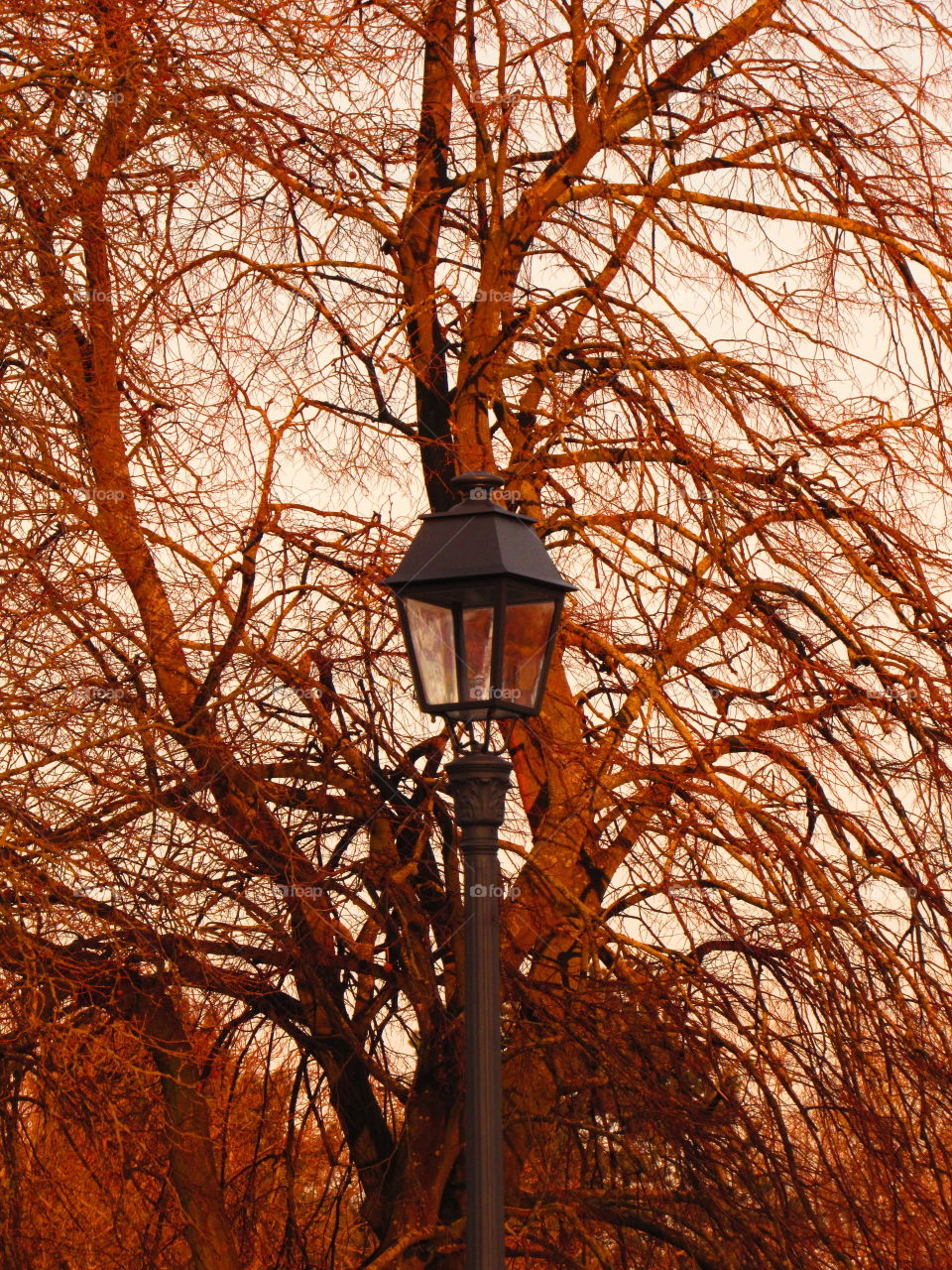 in the park