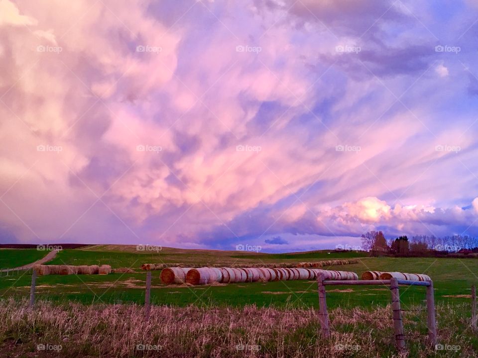 Purple sunset