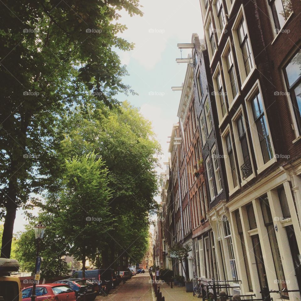 Street on Netherlands 