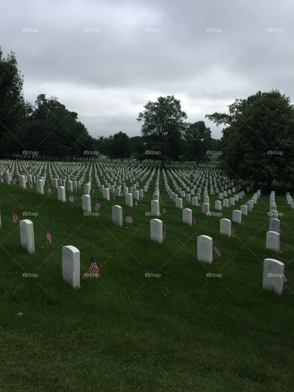 Tombstones in Arlington national cemetery