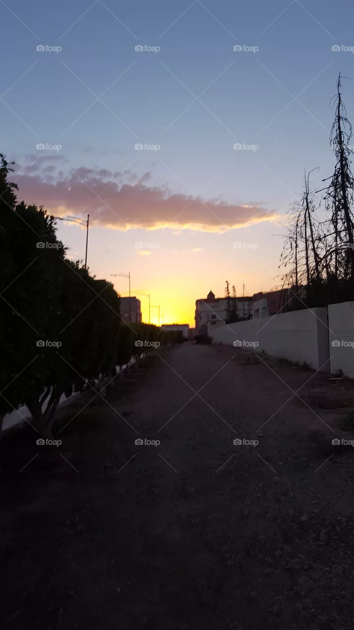 sunset